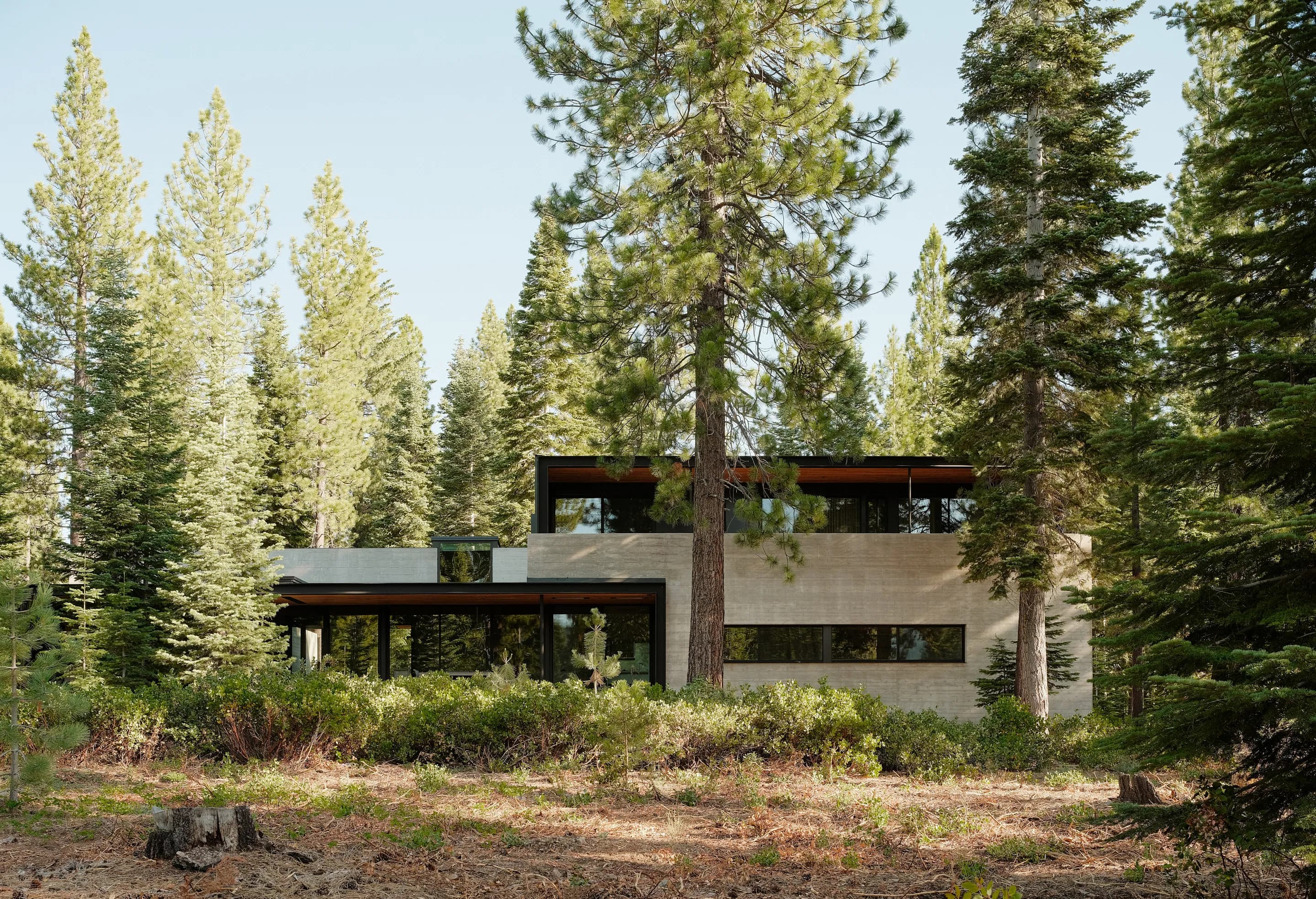 Forest House — Residential