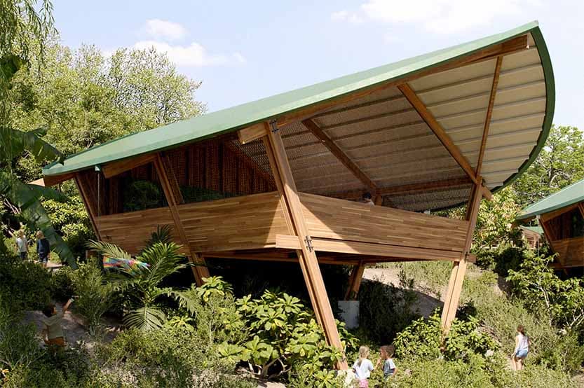 Rise Waldorf School — Education